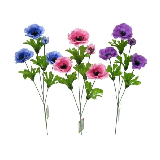 - Remote interactive pet feederAnemone