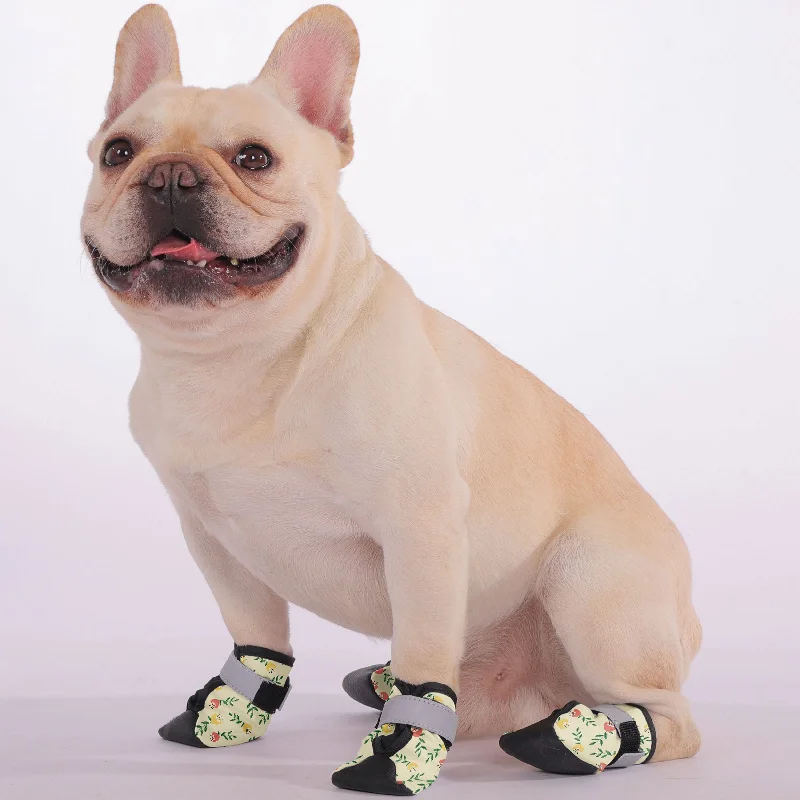 - Teething and chewing toys for puppiesOreo - Premium Dog Socks & Boots for French Bulldogs - Teething and chewing toys for puppiesOreo - Premium Dog Socks & Boots for French Bulldogs