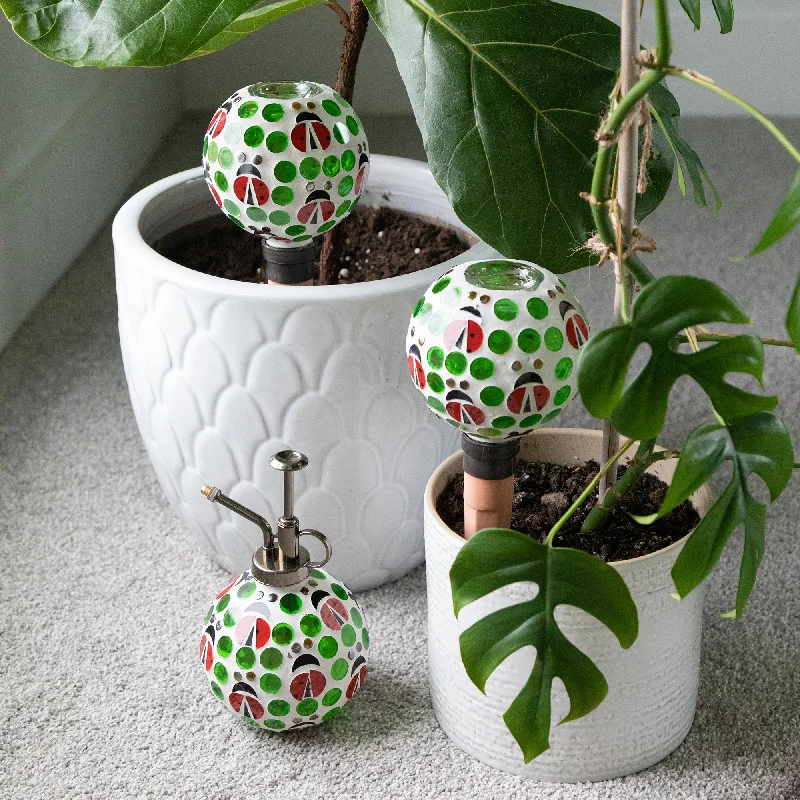 - Parrot climbing and standing wooden frameMosaic Glass Plant Watering Globe & Mister - Set of 3 - Parrot climbing and standing wooden frameMosaic Glass Plant Watering Globe & Mister - Set of 3