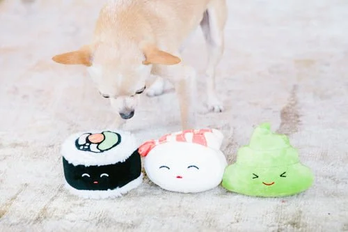 Pet walking leash setSushi Bento Set