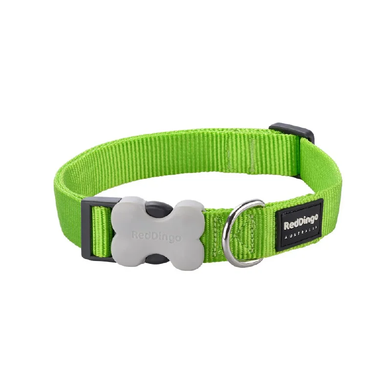 - Teething and chewing toys for puppiesRed Dingo Classic Collar for Dogs (Lime Green)