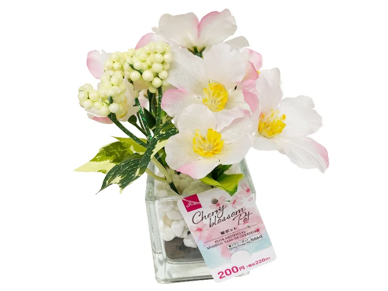 - Hamster silent running wheel to prevent chewingCherry Blossom Pot Noble