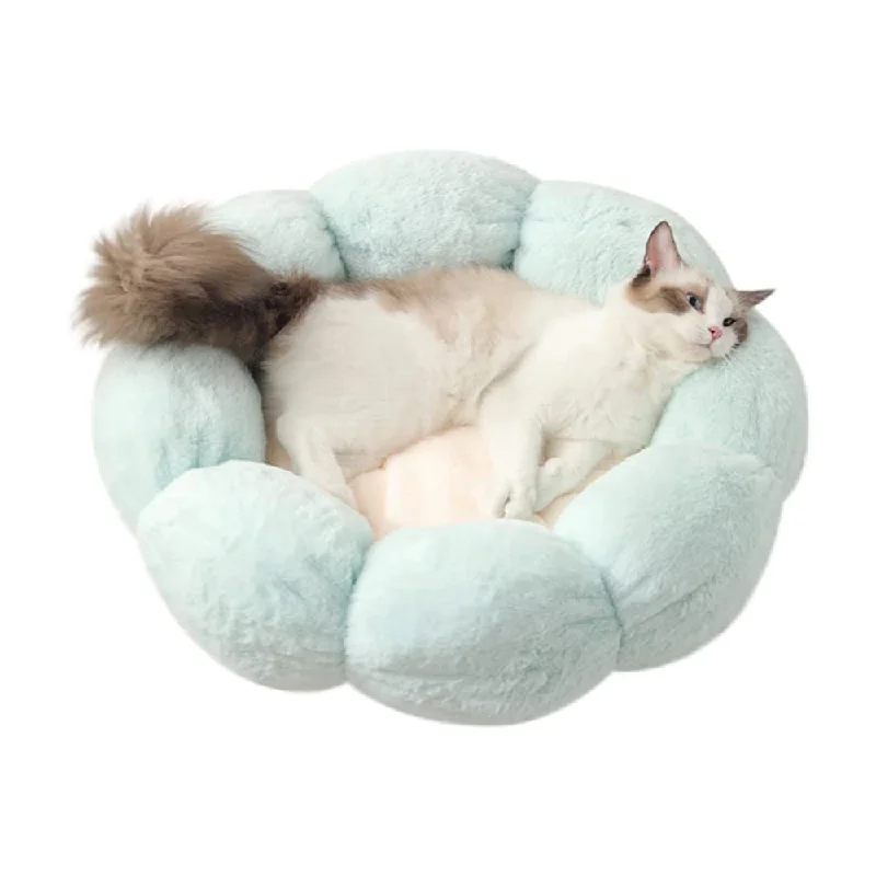 - Custom pet birthday cakeLIFEBEA Anti Skid Cute Cat Bed for Cats and Small Dogs-Light Green-S - Custom pet birthday cakeLIFEBEA Anti Skid Cute Cat Bed for Cats and Small Dogs-Light Green-S
