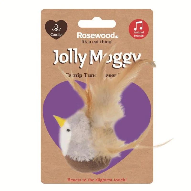 - ​​Christmas pet Christmas clothingRosewood Catnip Tune Chaser Bird