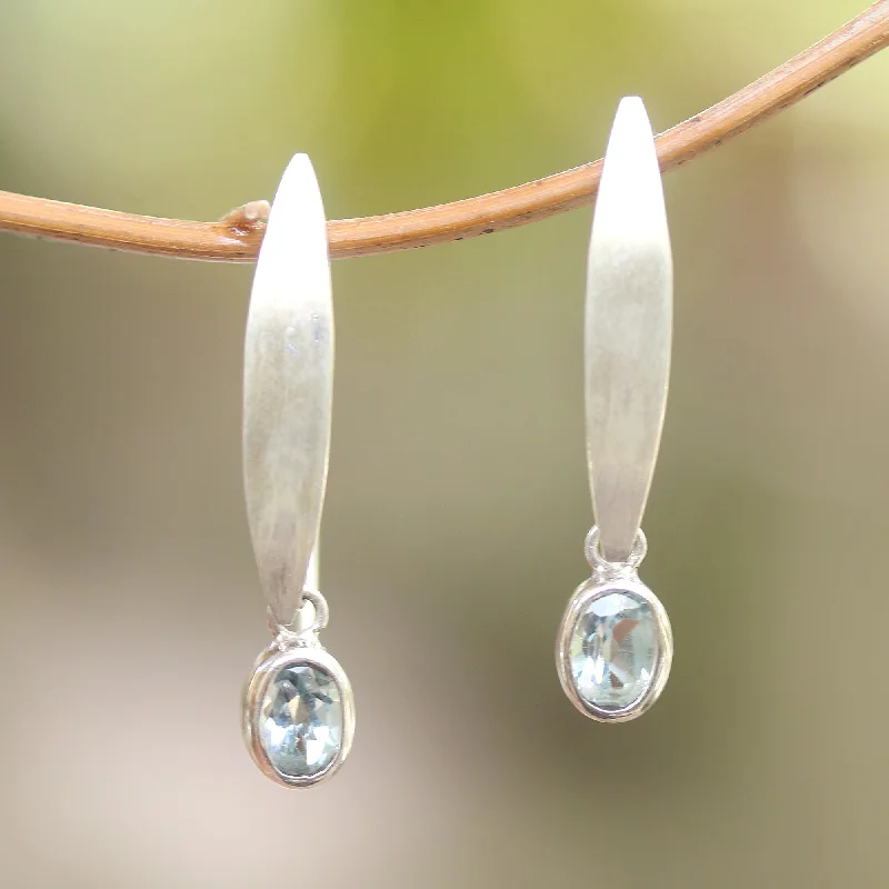 - Pregnant cat delivery room warming boxElegant Ellipses Elliptical Blue Topaz Dangle Earrings from Bali