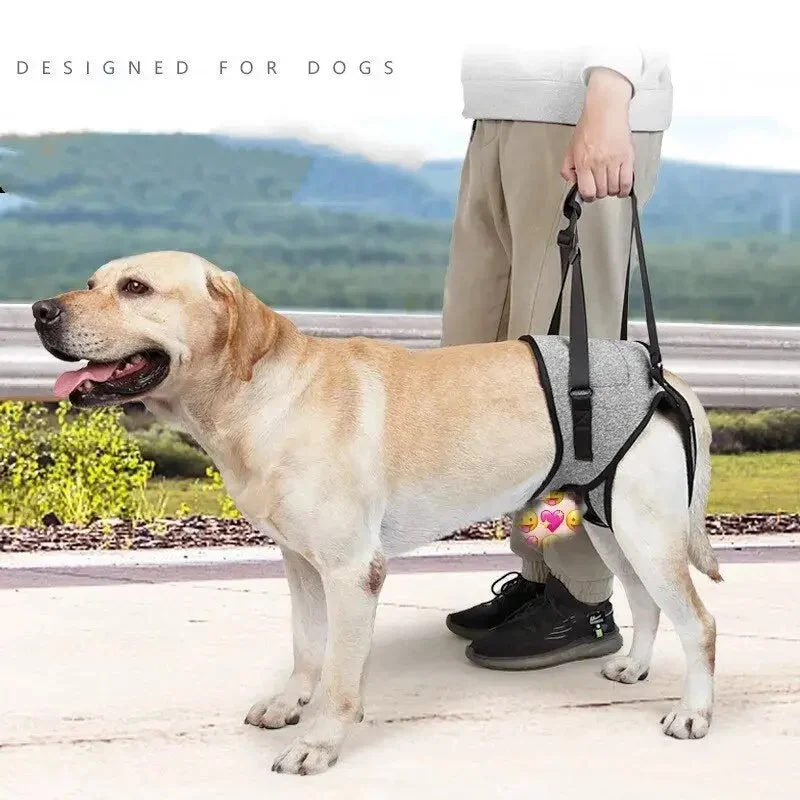 - Natural latex pet mattressAnniePaw Care Dog Leg Support Harness Gentle Assistance
