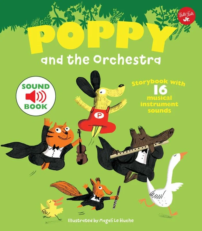 - Postoperative pet anti-licking Elizabethan collarPoppy and the Orchestra