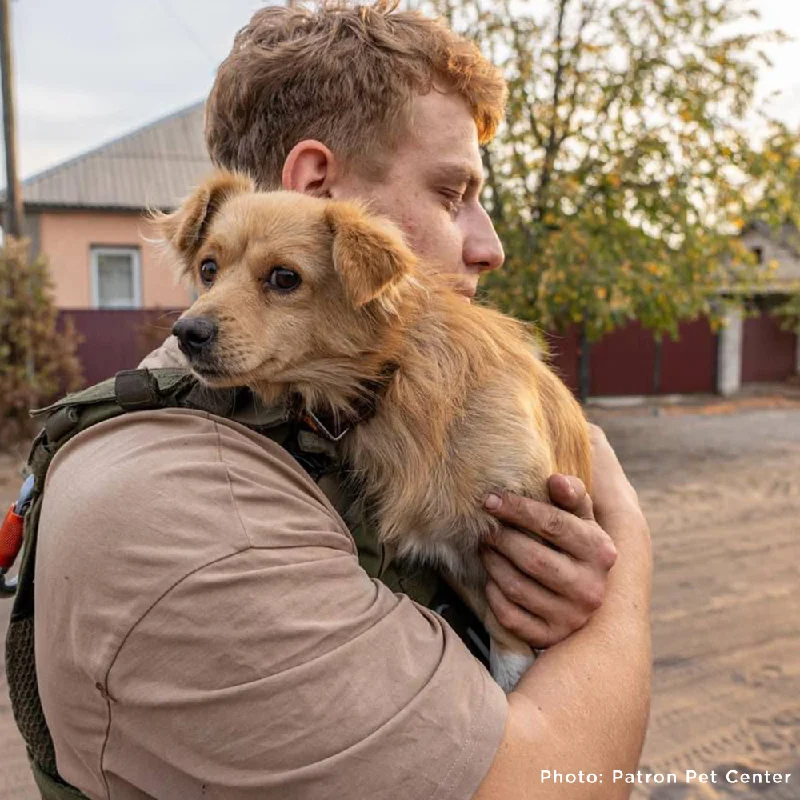 - Winter dog thick down jacketCrisis in Ukraine: Evacuate Pets Out of a War-Zone