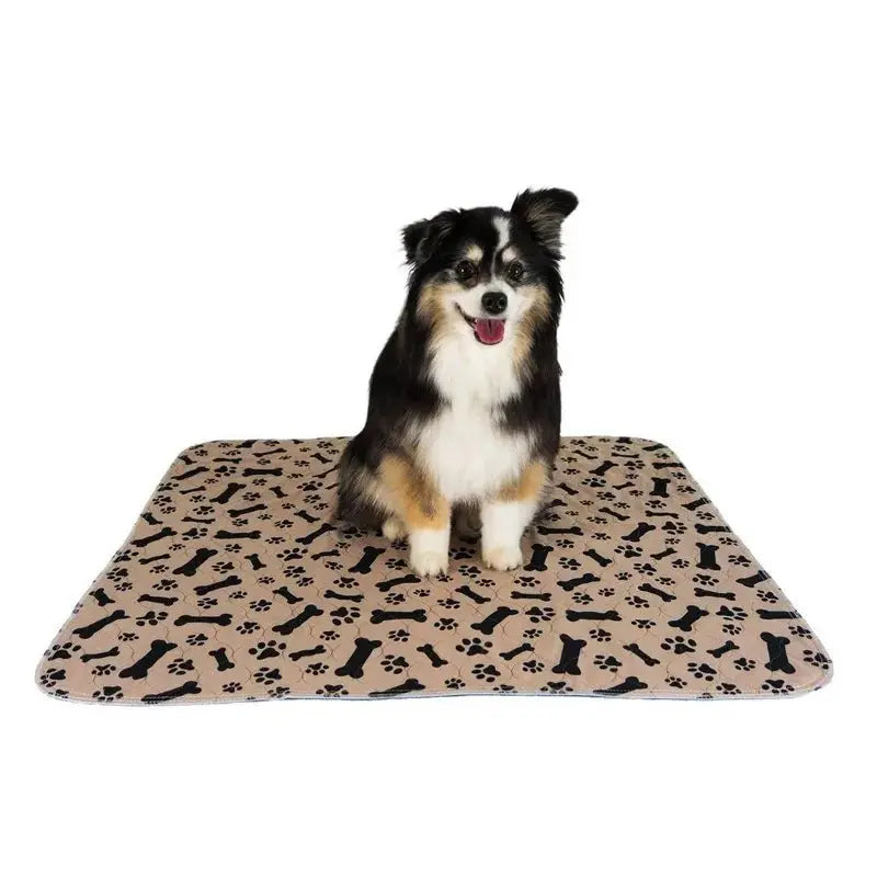 - Durable nylon dog leash wholesaleAnniepaw Reusable Fast Absorbing Dog Bed Mats Urine Pee Pad for Training Car Home - Durable nylon dog leash wholesaleAnniepaw Reusable Fast Absorbing Dog Bed Mats Urine Pee Pad for Training Car Home