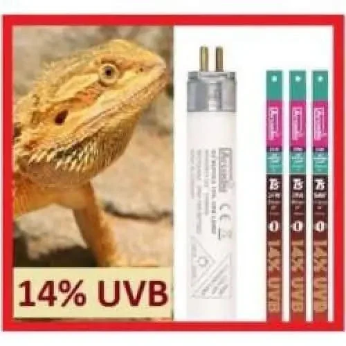 - Cat hair ball removal and hair removal creamArcadia D3+ High Output HO T5 Fluorescent Lamp 14% UVB Bulb Dragon Lamp Reptile Light