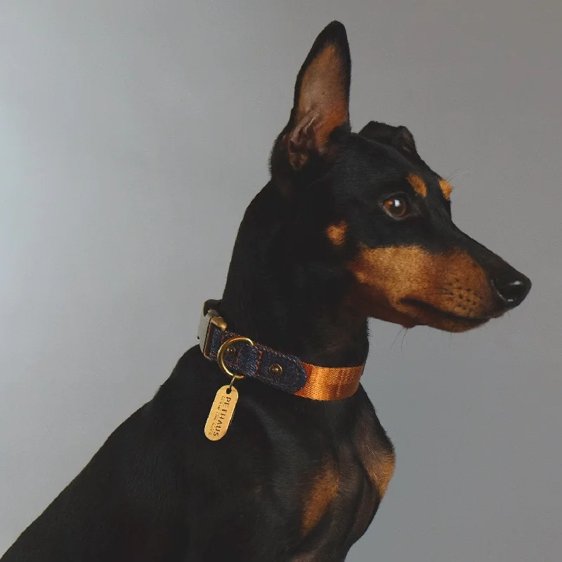  . **Pet nail clippers with LED lights**Denim Daze Tan Dog Collar