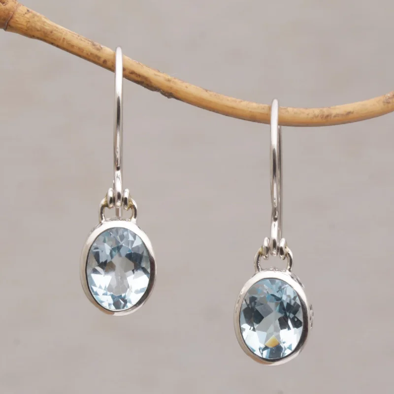 - ​​Christmas pet Christmas clothingBlue Paws Blue Topaz and Sterling Silver Paw Print Dangle Earrings