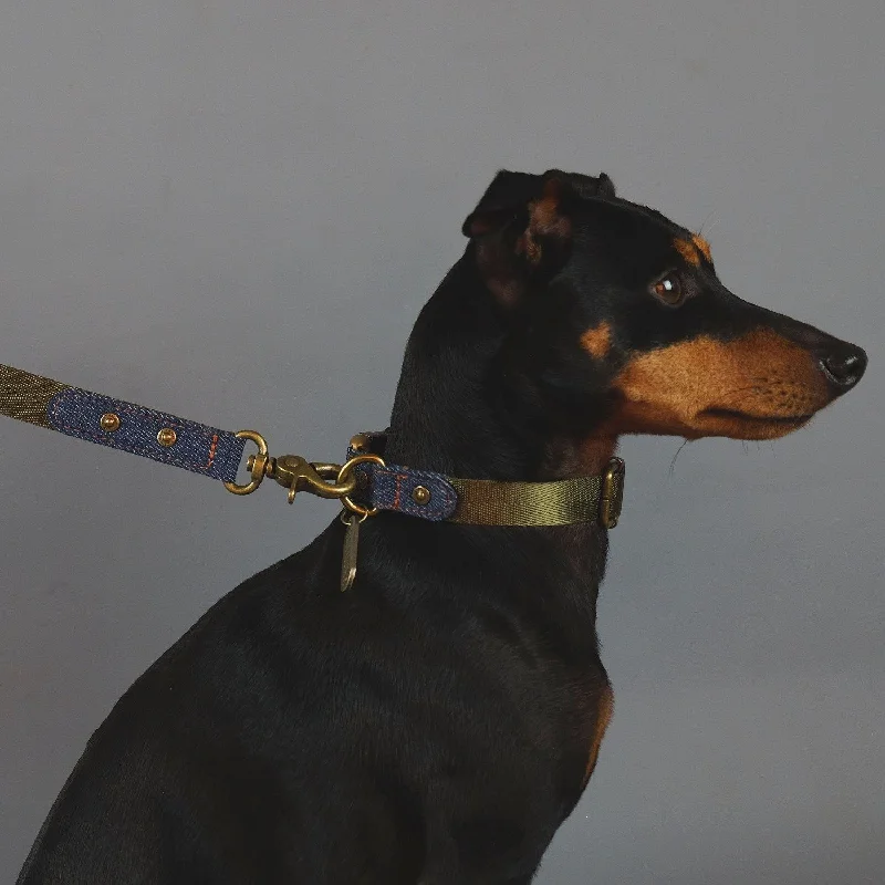  . **Pet backpack is breathable**Denim Daze Dog Leash Olive