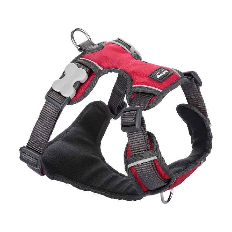 - Natural latex pet mattressRed Dingo Padded Harness For Dogs (Red)