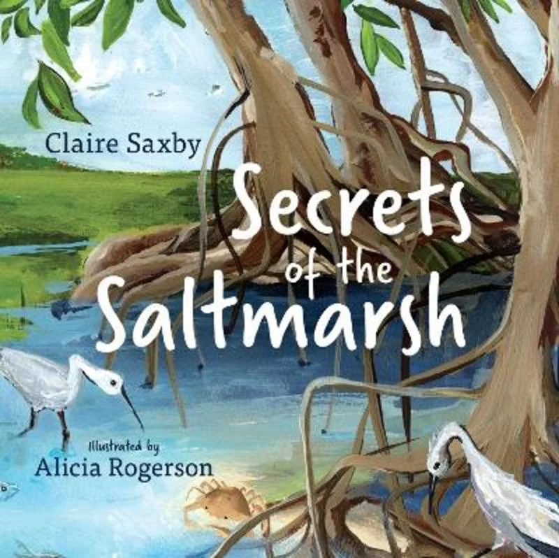  -Anti-scratch sofa protective coverSecrets of the Saltmarsh