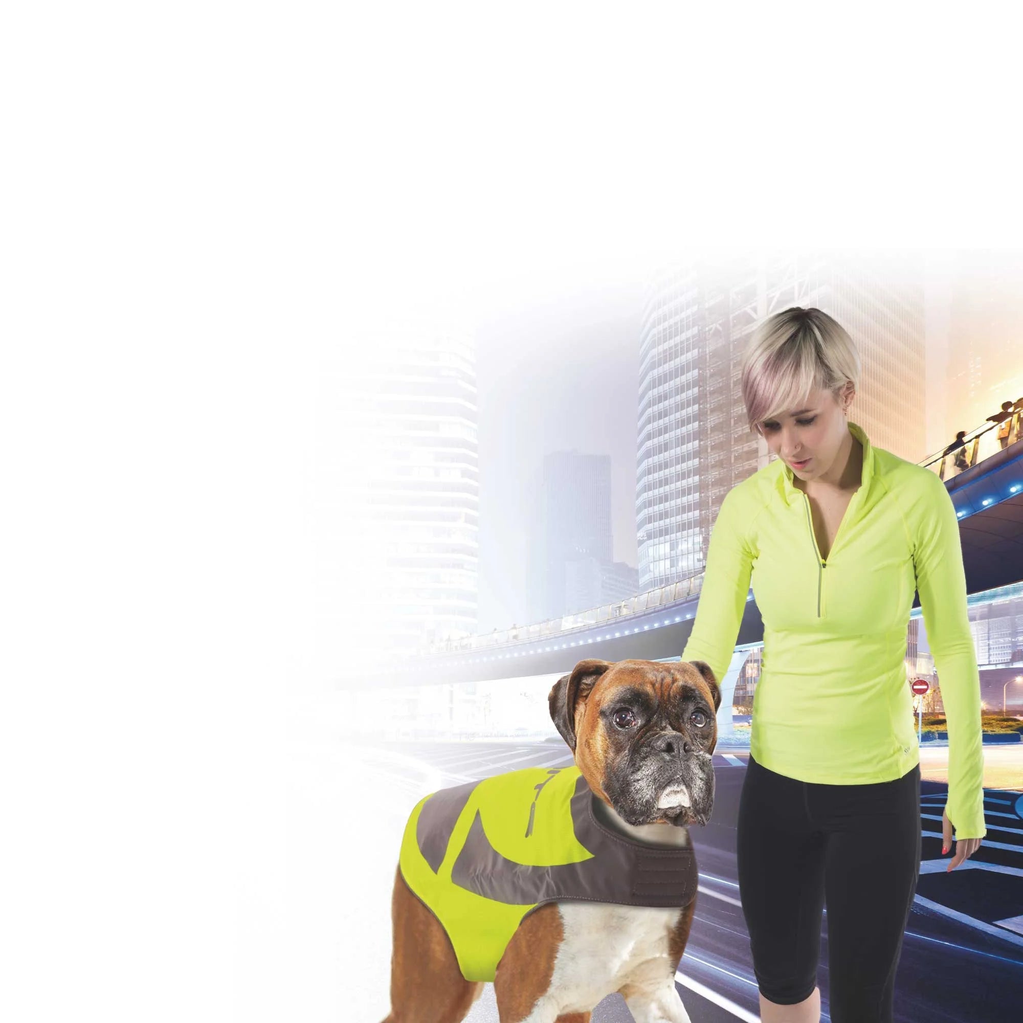- Car dog seat beltDog Reflective Jacket Hi Vis Vest with Light Up Pendant Pet Safety Walking Coat - Car dog seat beltDog Reflective Jacket Hi Vis Vest with Light Up Pendant Pet Safety Walking Coat