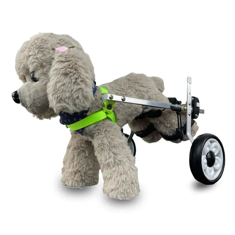 - Hamster silent running wheel to prevent chewingAnniePaw Dog Wheelchair - Hind Limb Mobility Aid for Pets - Hamster silent running wheel to prevent chewingAnniePaw Dog Wheelchair - Hind Limb Mobility Aid for Pets