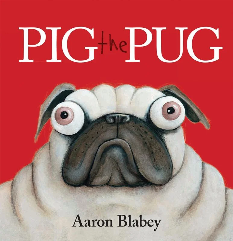 - Degradable pet feces bagPig the Pug