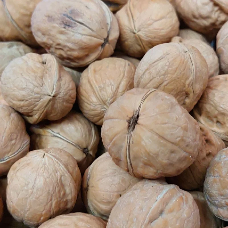 ---WALNUT WHOLE USA LOOSE
