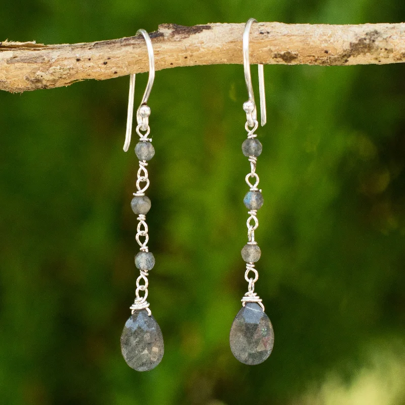 - Pet monitor with cameraLady Handmade Labradorite and Sterling Silver Dangle Earrings