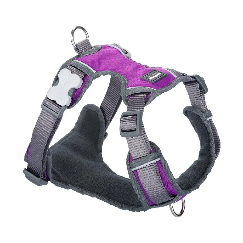 - Smart cat litter box with automatic cleaningRed Dingo Padded Harness For Dogs (Purple)
