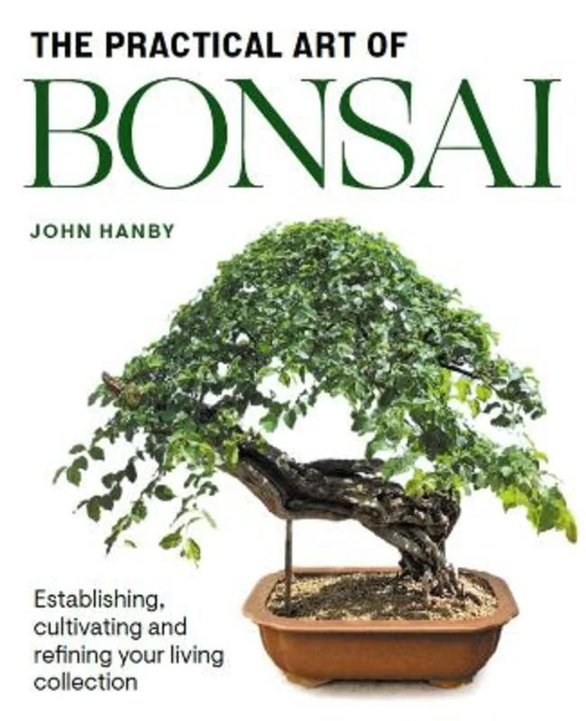 - Pregnant cat delivery room warming boxPractical Art of Bonsai