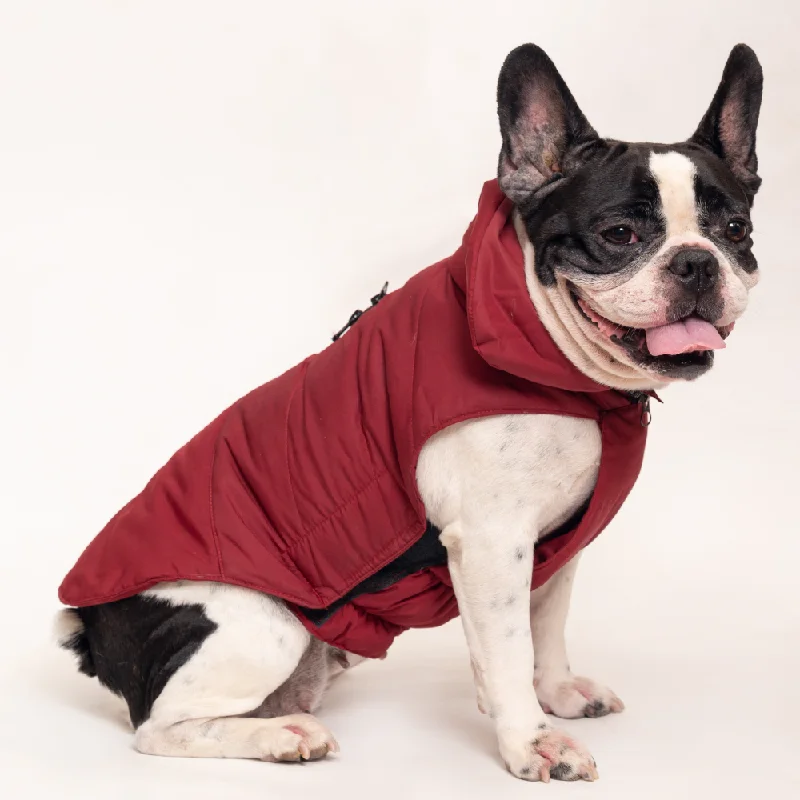 - Pet tear stain cleaning wipesPetsnugs Jacket for Dogs and Cats (Maroon)