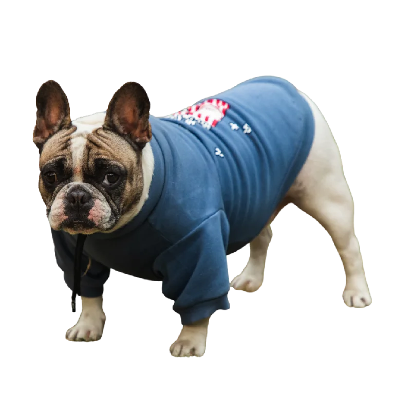 - Cat stress soothing sprayPet Snugs Popcorn Print Sweatshirt for Dogs (Sky Blue)