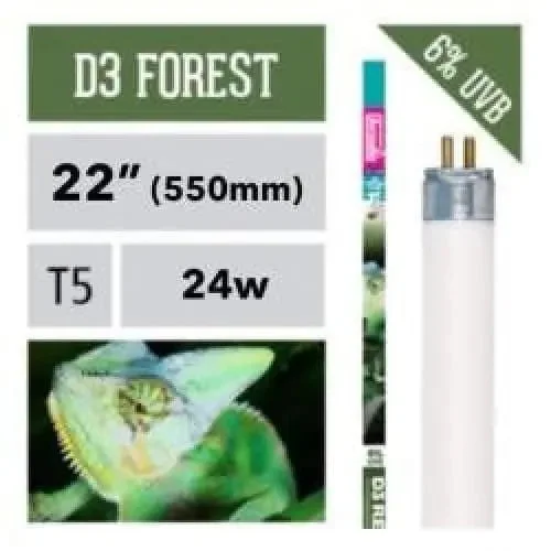 - Dog disposable foam shower gelArcadia D3+ High Output HO T5 Fluorescent Lamp 6% UVB Bulb Forest Lamp Reptile Light