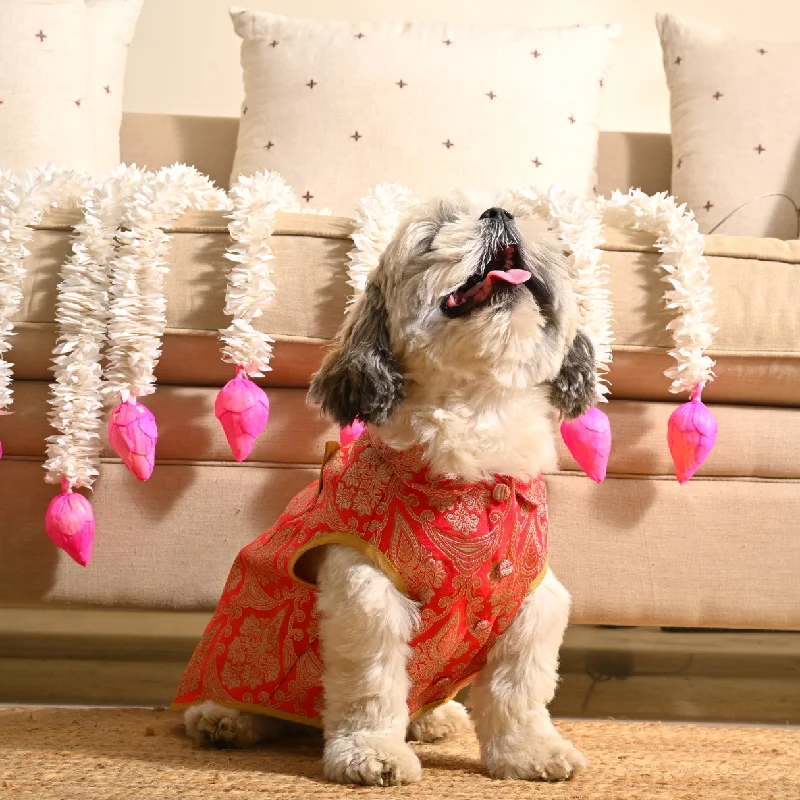 - Car dog seat beltPoochMate Coral Brocade Dog Sherwani
