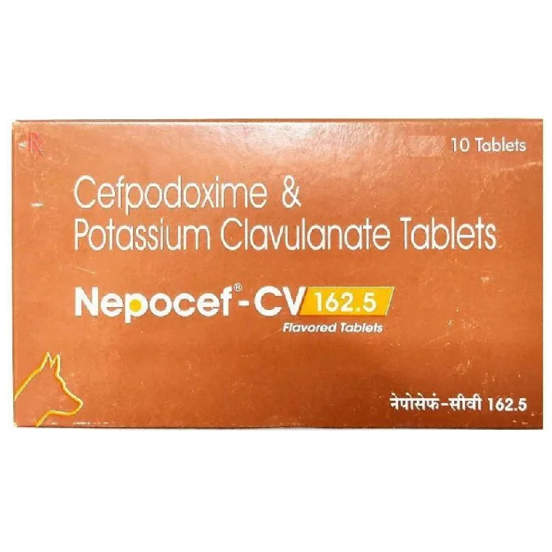 - Cat anti-jump window safety netTtk Nepocef-CV 162.5mg Tablet for Dogs and Cats