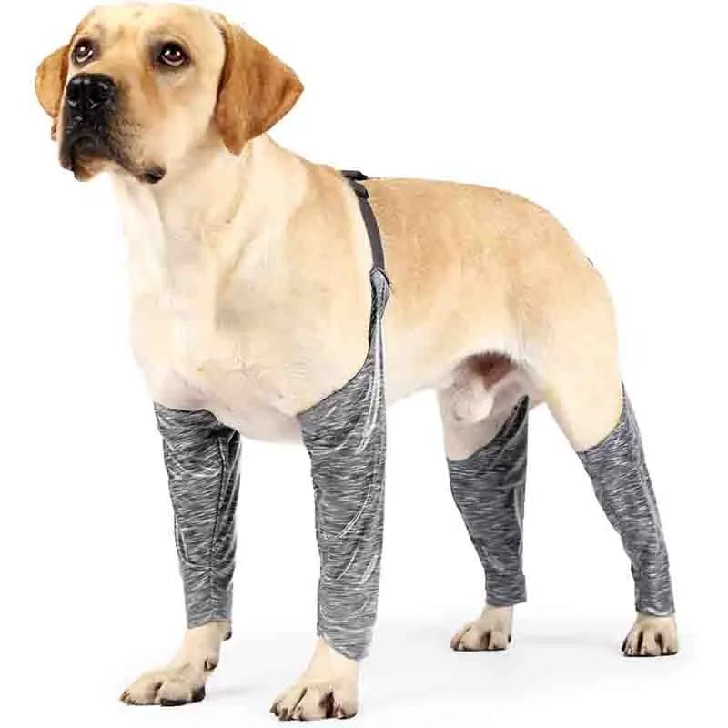 - Pet water dispenser UV sterilization versionAnniePaw Adjustable Dog Leggings Anti Lick Recovery Dog Sleeves