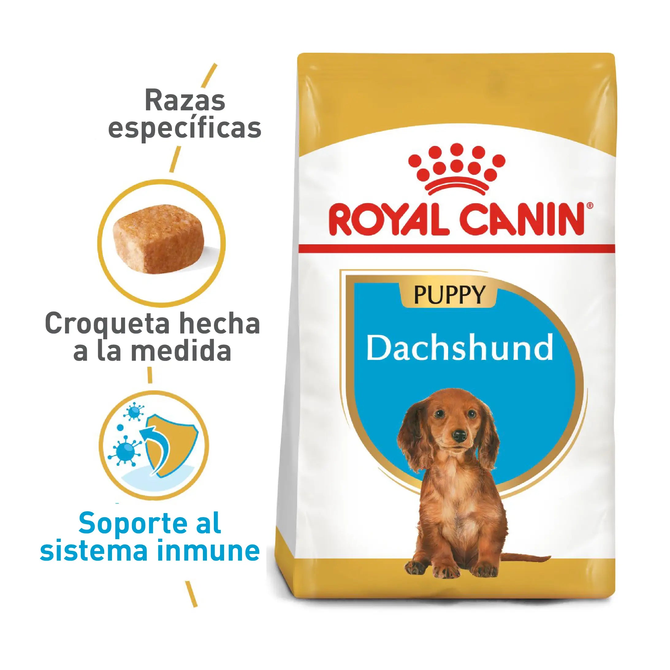  -Explosion-proof leash FOR LARGE dogsRoyal Canin Dachshund Puppy 1,13 kg