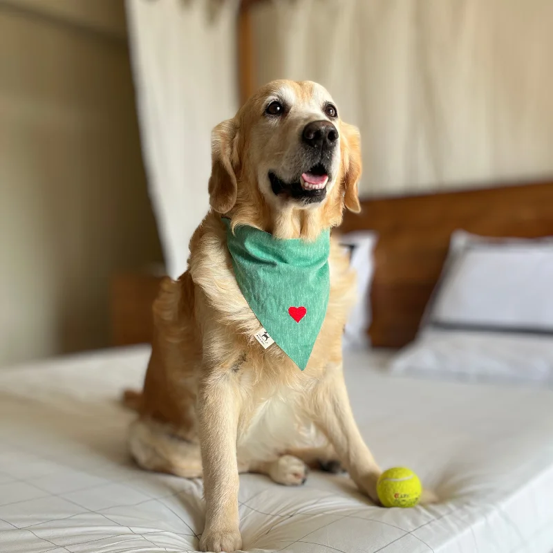 ---PoochMate Sage Cotton Heart Dog Bandana
