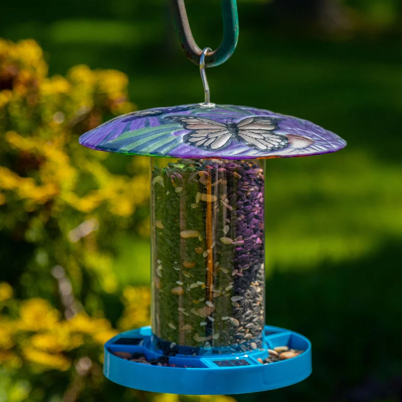 - Deodorizing cat litter tofu litterBright & Bold Solar Bird Feeder