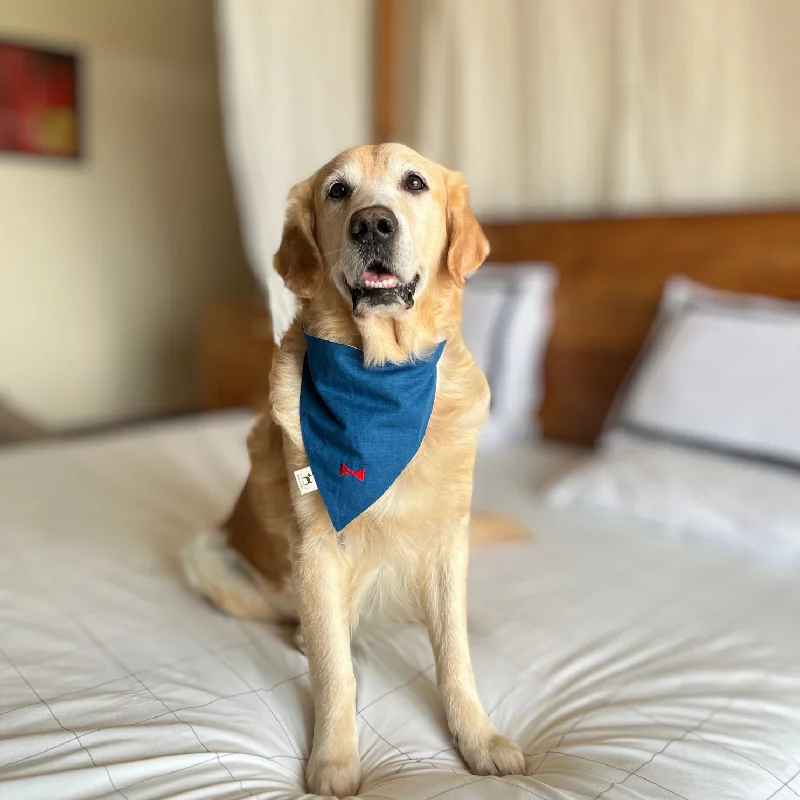 - Summer pet ice matPoochMate Cobalt Linen Bow Dog Bandana