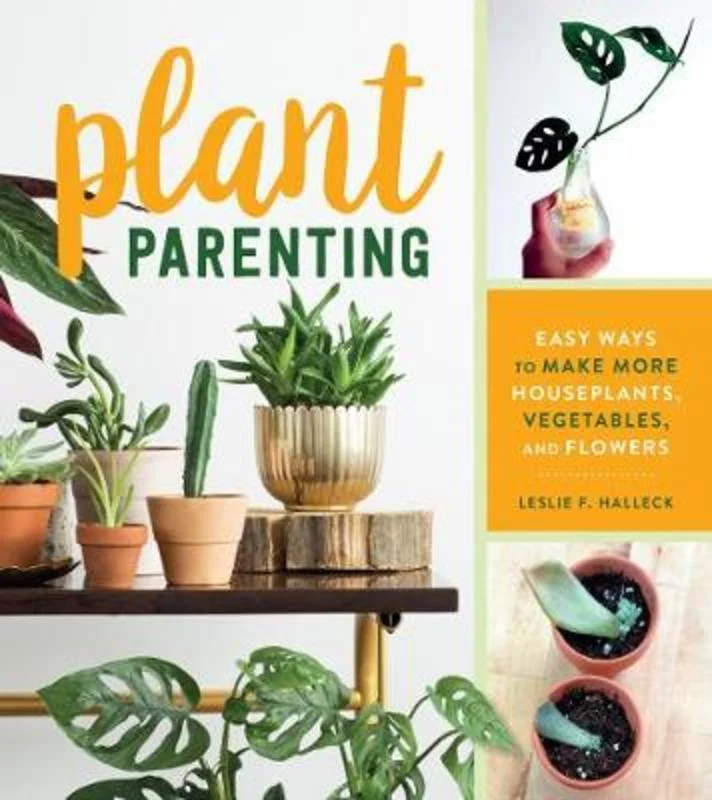 - Summer pet ice matPlant Parenting