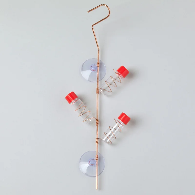 - Custom pet birthday cakeMulti-Tube Window Hummingbird Feeder