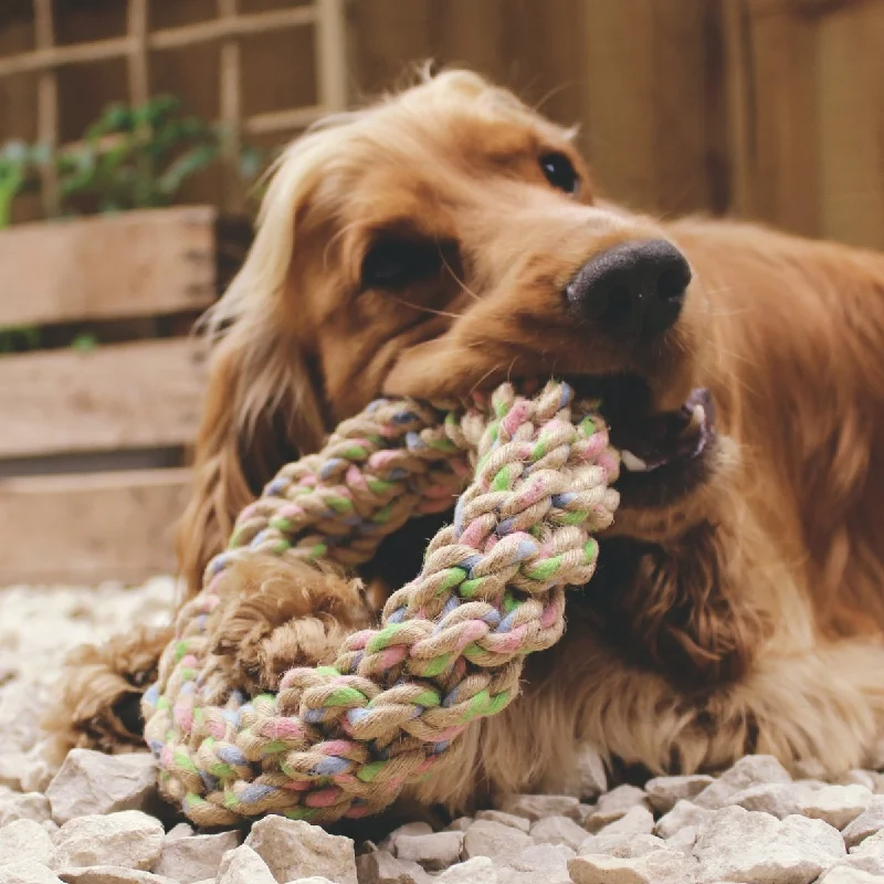 - Pet food leaking toy rankingsBeco Hemp Rope Dog Toys