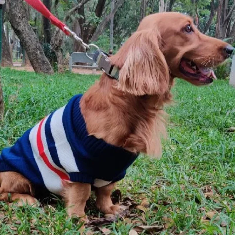 - Summer pet ice matPet Snugs Stripes Sweaters for Dogs (Blue White & Red)