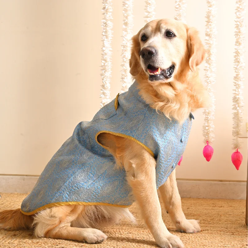 - Pet monitor with cameraPoochMate Blue Brocade Dog Sherwani