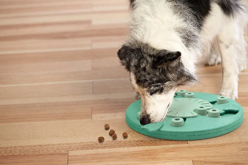 - Winter warm clothes for short-haired dogsNina Ottosson Dog Worker Treat Dispensing Interactive Dog Game Level 3