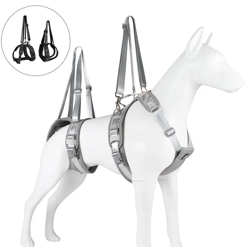 - Remote interactive pet feederAnniePaw Split Lift Harness Support for Disabled Elderly Dogs