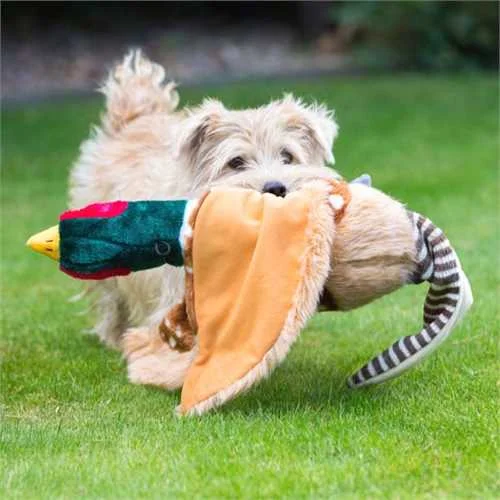 - Rabbit toy selectionCountry Pheasant Dog Toy