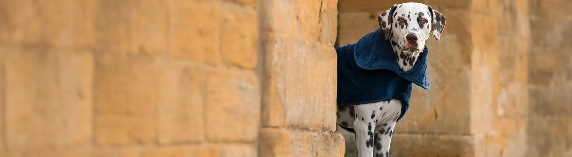	The material selection of pet clothes is very important. Considering the sensitivity of pet skin and activity habits, most pet clothes are made of pure cotton, linen or soft knitted fabrics. These materials are not only breathable, can effectively regulate body temperature, reduce friction or allergies caused by discomfort in pets, but also easy to wash and maintain, keeping the clothes clean and hygienic.
