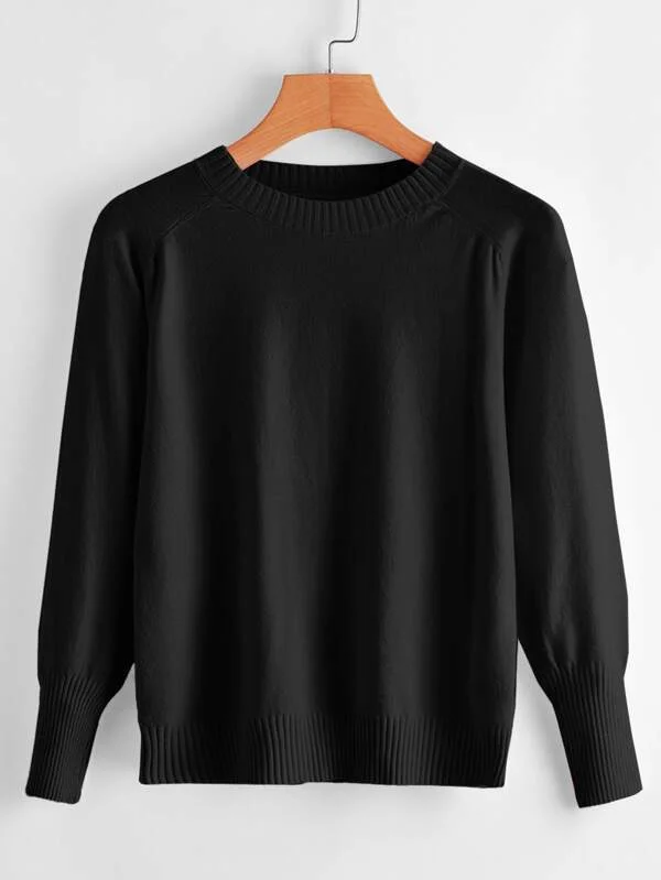 Raglan Sleeve Solid Sweater